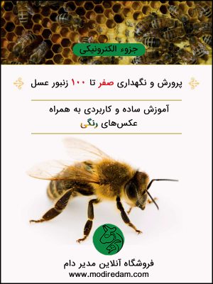 پرورش و نگهداری صفر تا ۱۰۰ زنبور عسل