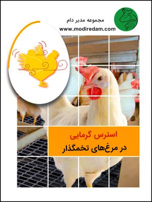 www.modiredam.com