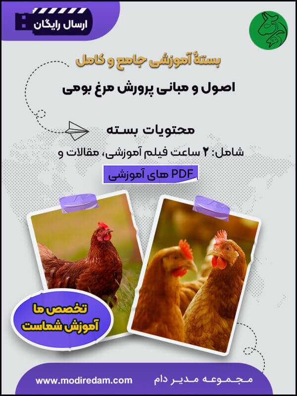 ایران به دلیل وسعت و تنوع آب و هوایی دارای گروه‌های نژادی متنوعی از مرغ بومی می‌باشد